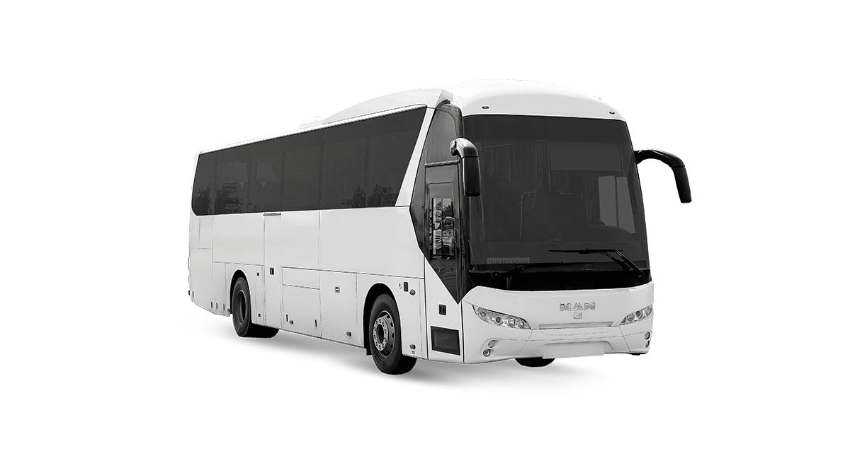 Автобусы