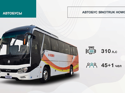 Автобусы
